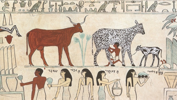 La Vida Cotidiana En El Antiguo Egipto