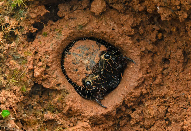 Concurso Fotografía De La Naturaleza inFocus