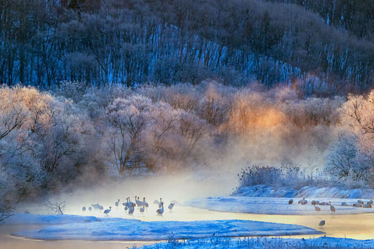 Concurso Fotografía De La Naturaleza inFocus