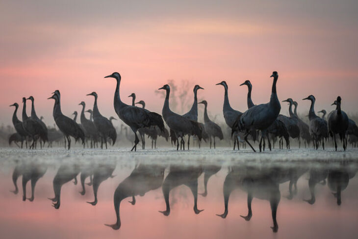 Concurso Fotografía De La Naturaleza inFocus