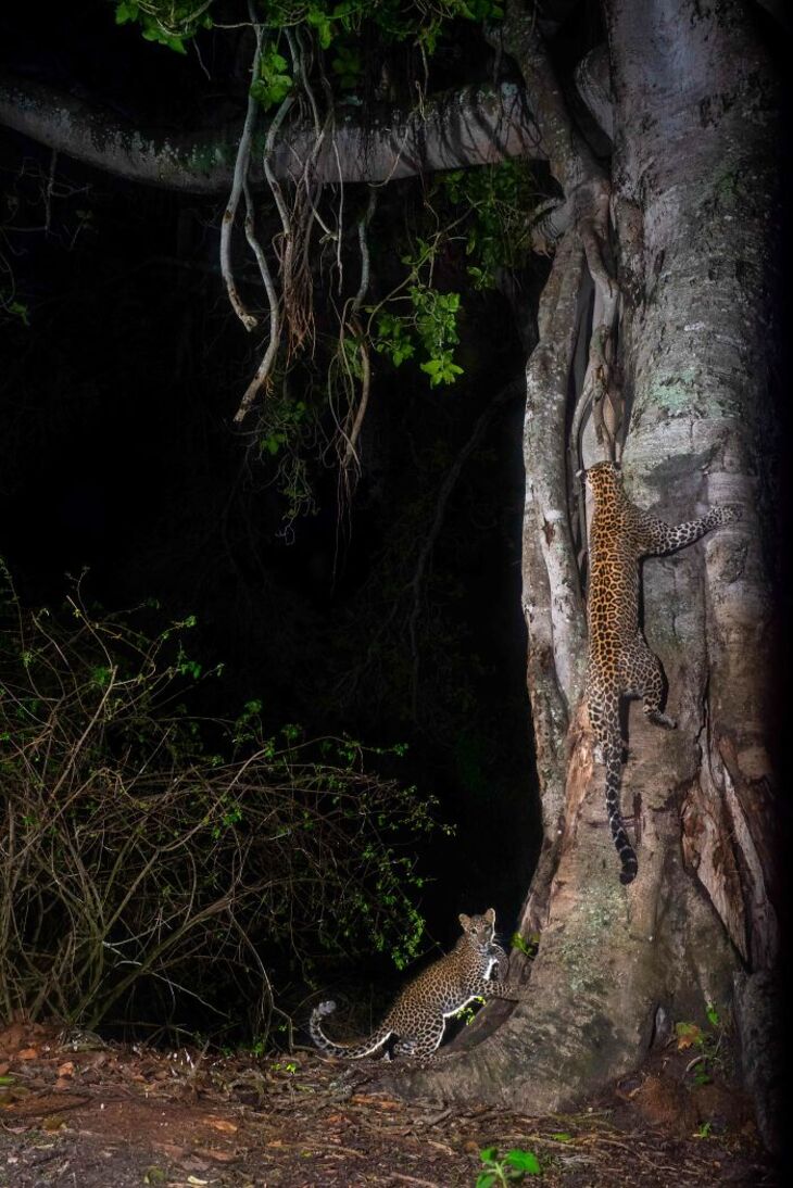 Concurso Fotografía De La Naturaleza inFocus