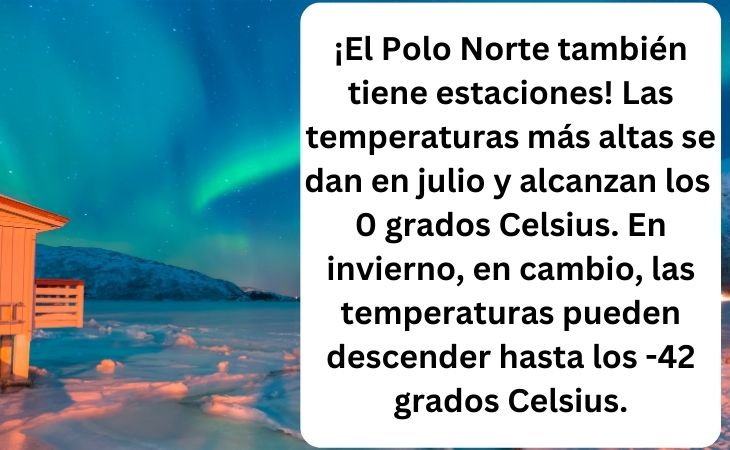 Datos Sobre El Polo Norte