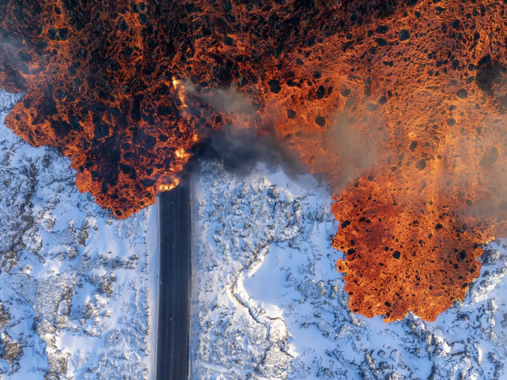 Premios De Fotografía De La Naturaleza 2025