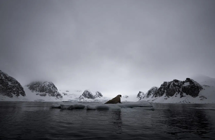 Premios De Fotografía De La Naturaleza 2025