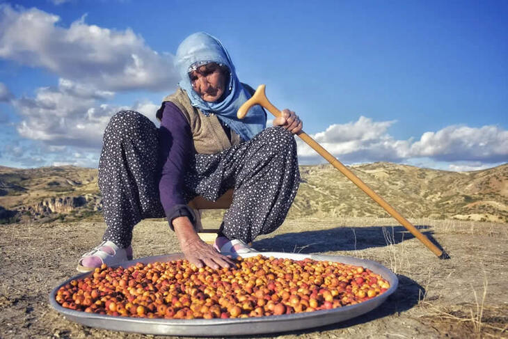 La Vida En Turquía Rural