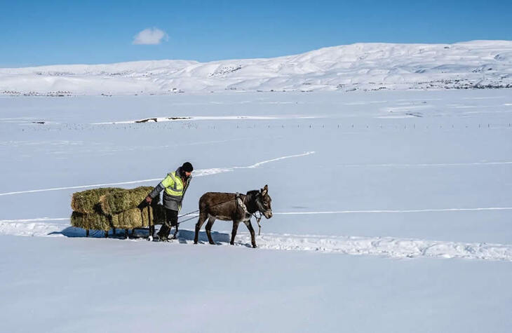 La Vida En Turquía Rural