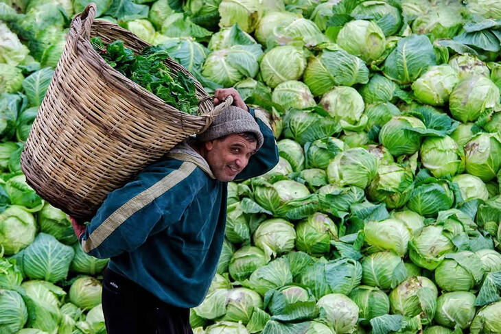 La Vida En Turquía Rural