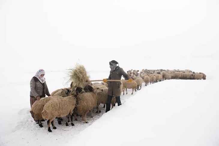 La Vida En Turquía Rural