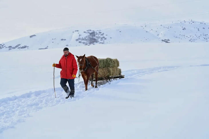 La Vida En Turquía Rural