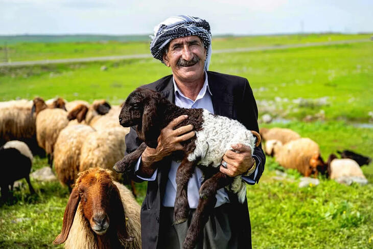 La Vida En Turquía Rural