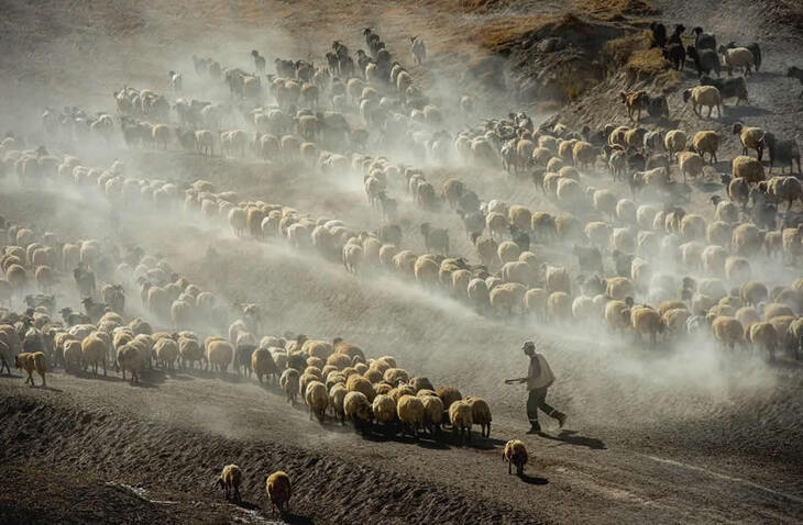 La Vida En Turquía Rural