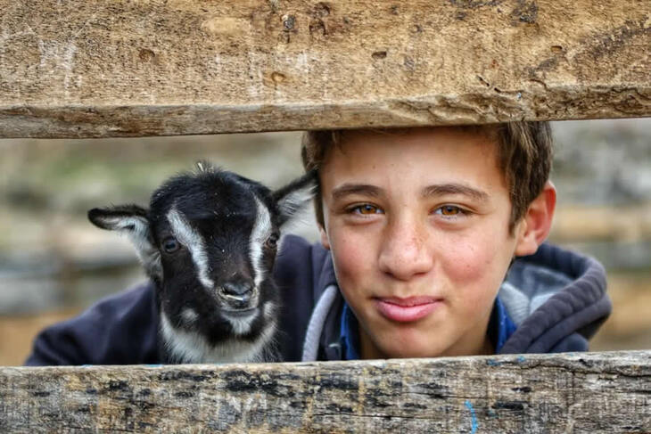 La Vida En Turquía Rural