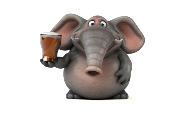 Piada: A Compra Do Elefante