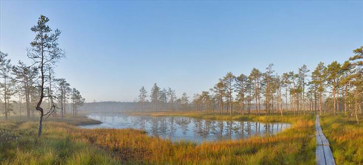 Estonia