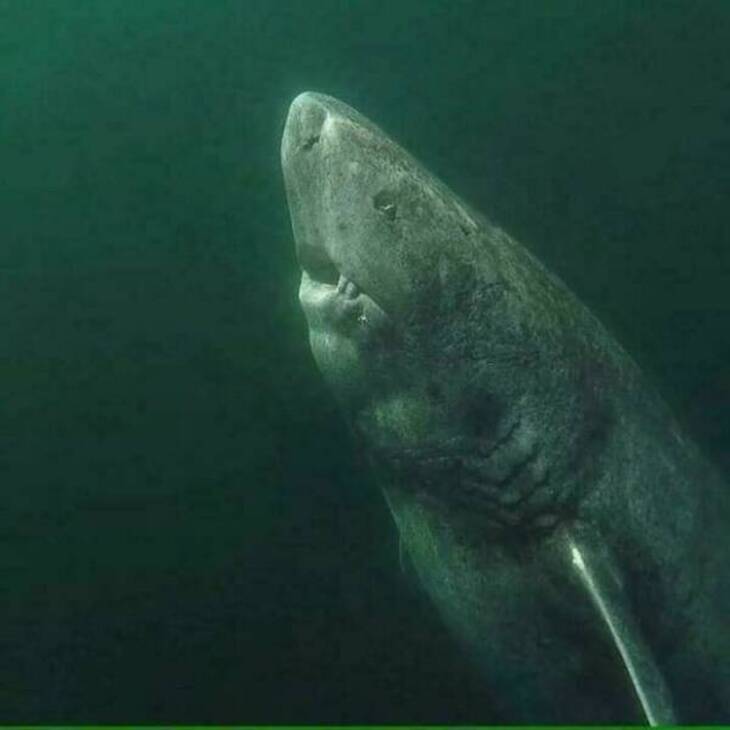 Fotografías Del Océano