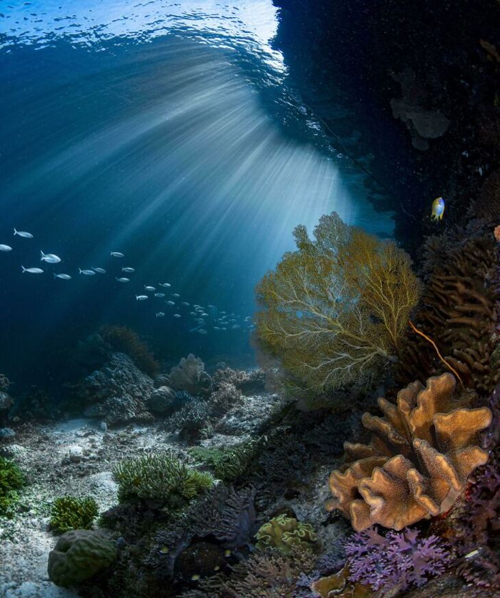 Fotografías Del Océano
