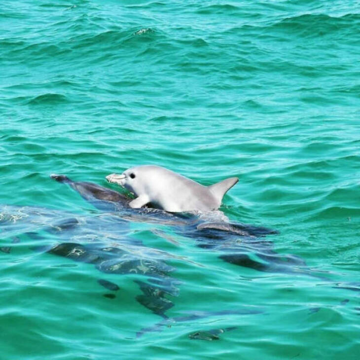 Fotografías Del Océano