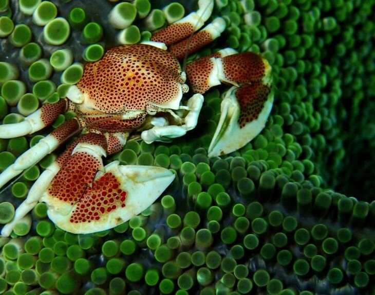 Fotografías Del Océano