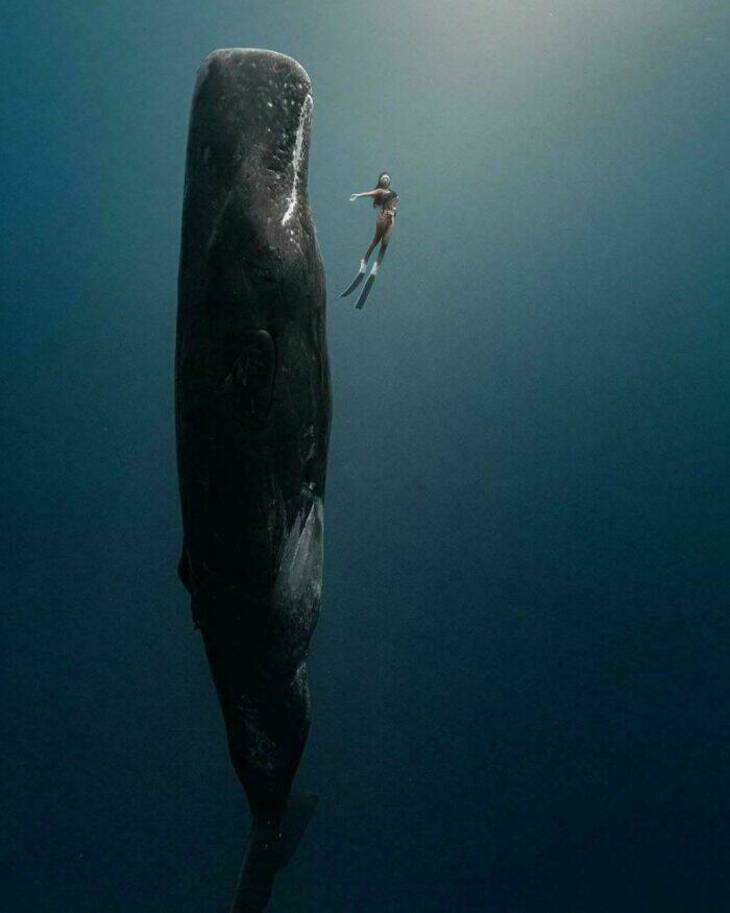Fotografías Del Océano