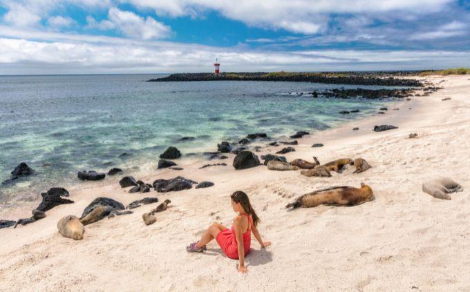 Sitios del Patrimonio Mundial de Trivia: una mujer junto a las focas en las Islas Galápagos