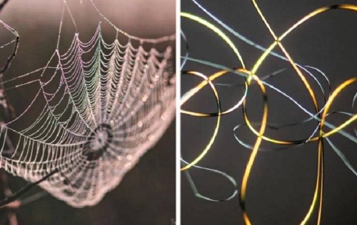Objetos Vistos Desde El Microscopio