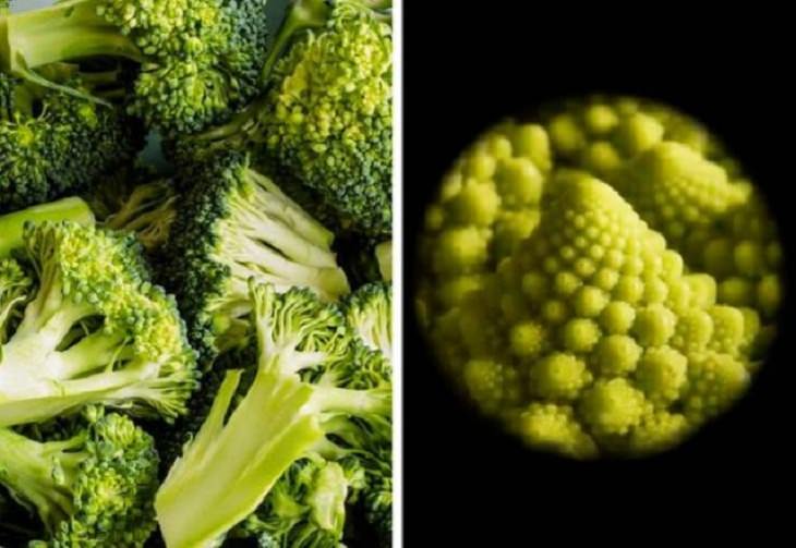 Objetos Vistos Desde El Microscopio