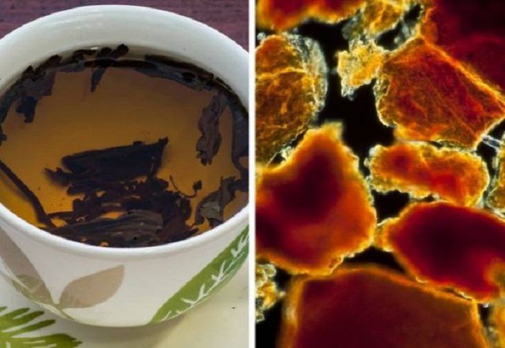 Objetos Vistos Desde El Microscopio