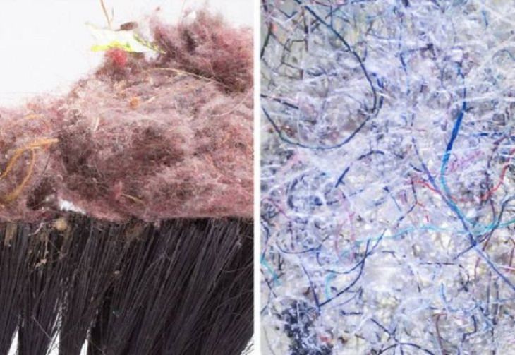 Objetos Vistos Desde El Microscopio