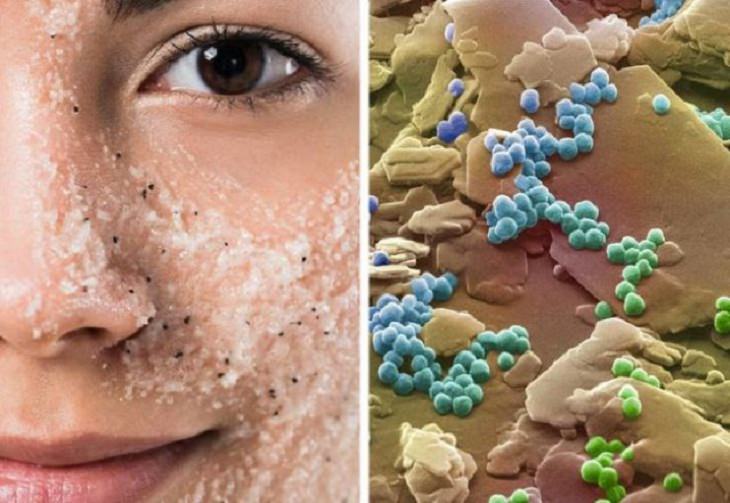 Objetos Vistos Desde El Microscopio