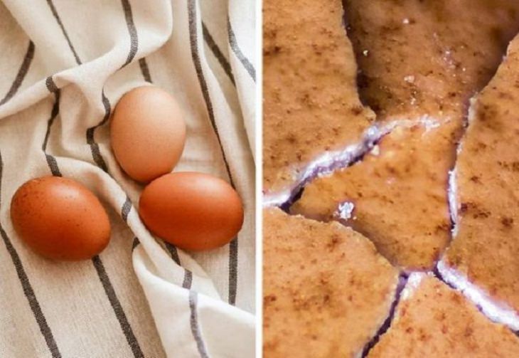 Objetos Vistos Desde El Microscopio