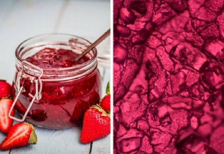 Objetos Vistos Desde El Microscopio