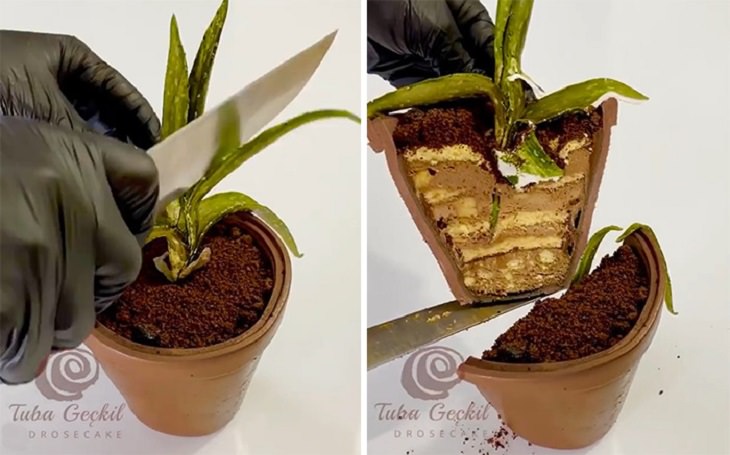 Pasteles Realistas De Tuba Geckil