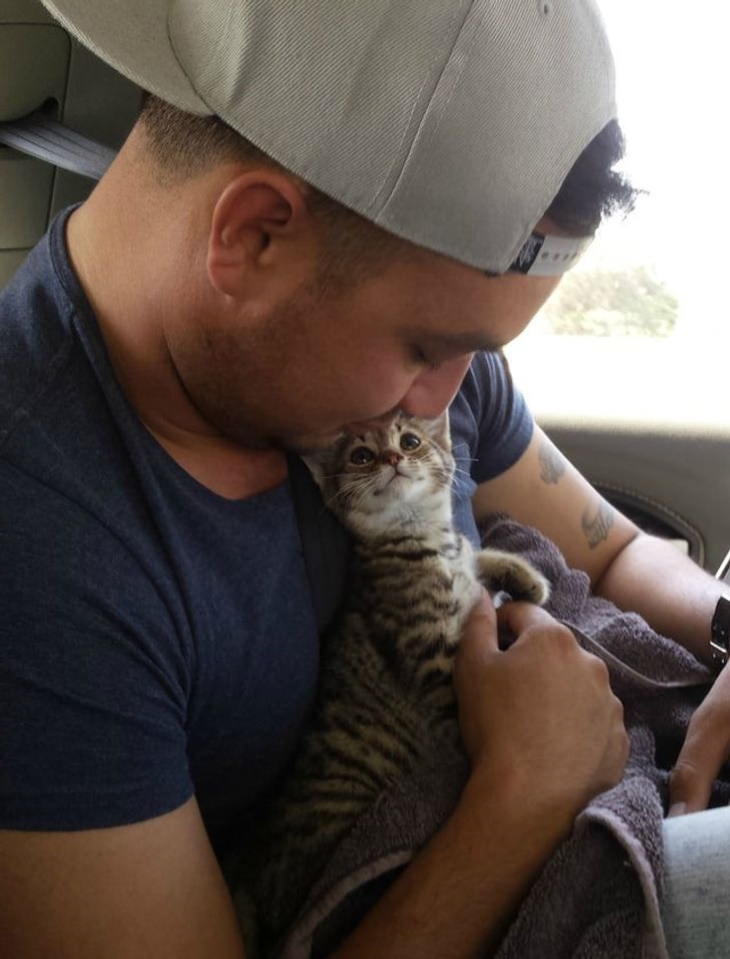 Animales Adorables