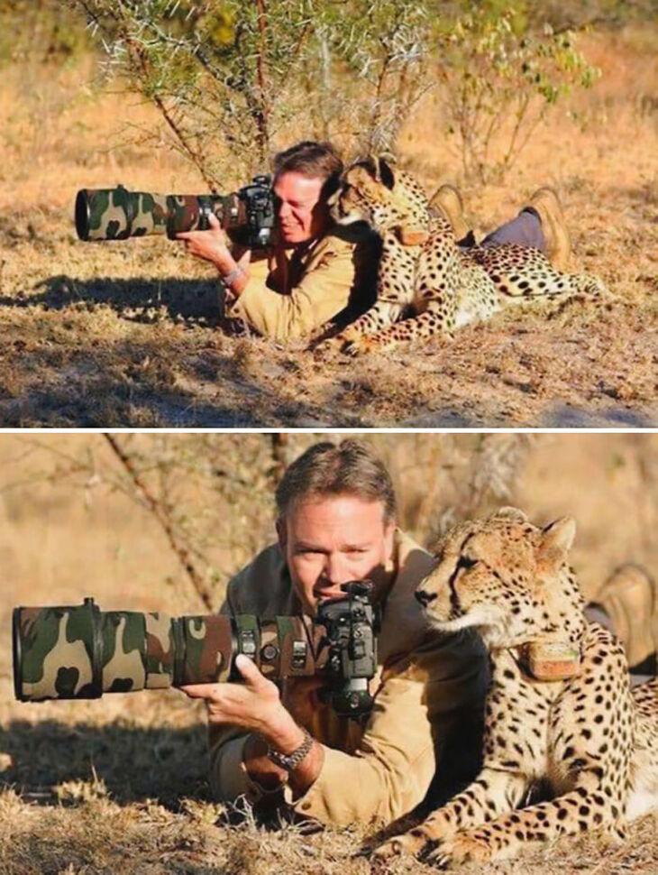 Funny Animals 