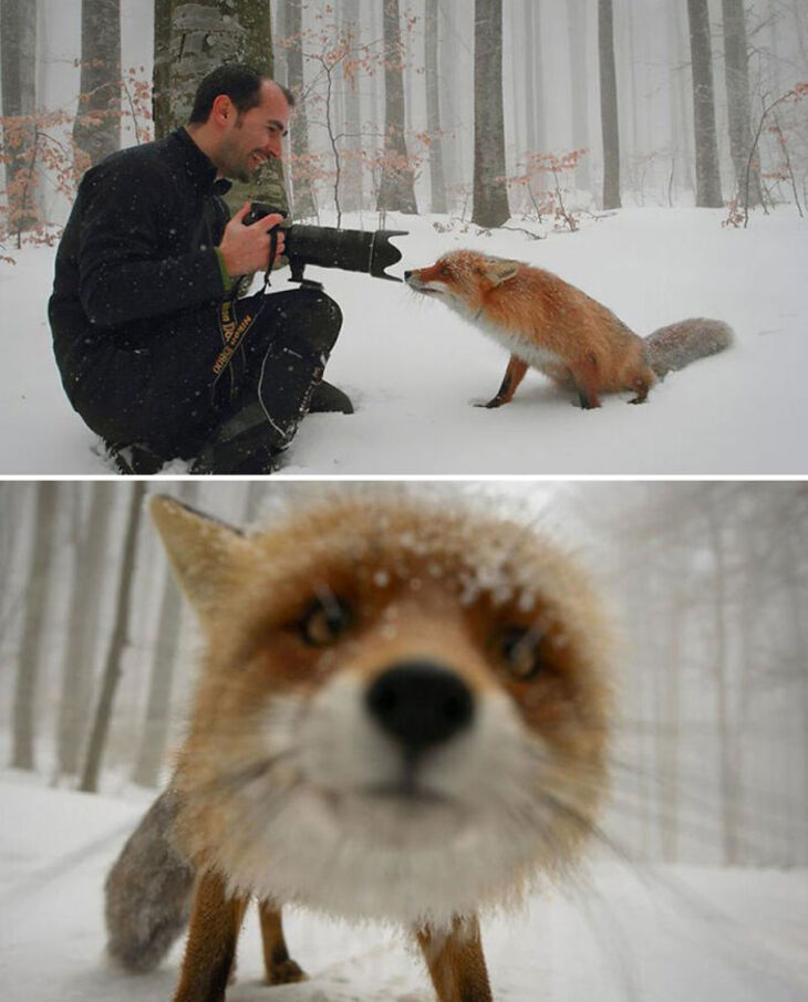 Fotógrafos y Animales