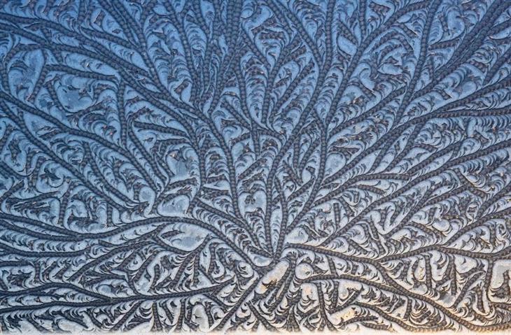 Fotos ganadoras del concurso de fotógrafo de la naturaleza de GDT 2025: Patrones especiales en la nieve