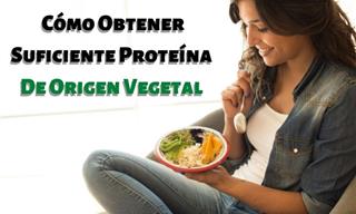 11 Fuente De Proteína Vegetal Que Debes Incluir En Tu Dieta