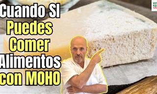 ¿Es Seguro Consumir Alimentos Con Moho?