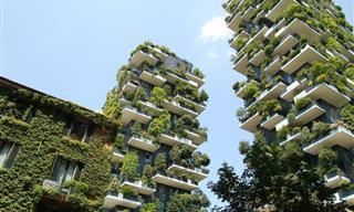 11 Edificios Ecológicos Que Se Integran En La Naturaleza