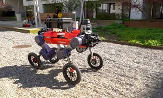 Nuevos Robots: Este Robot Utiliza Neumáticos y Patas