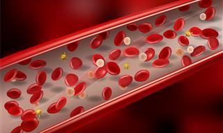 6 Ejercicios Fáciles Para Mejorar El Flujo Sanguíneo En El Cuerpo