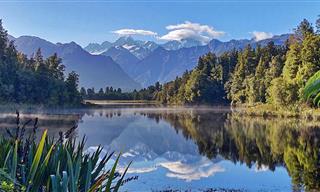 Nunca Me Imaginé Que La Belleza De Nueva Zelanda Fuera Tan Impresionante