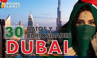 Conoce 30 Curiosidades De Dubái
