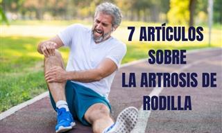 7 Artículos Sobre  Todo Lo Que Tienes Que Saber Sobre La Artrosis De Rodilla