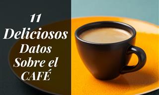 11 Datos Sorprendentes Sobre El Café