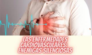 Una Completa Guía Para Prevenir Los Problemas Cardiovasculares