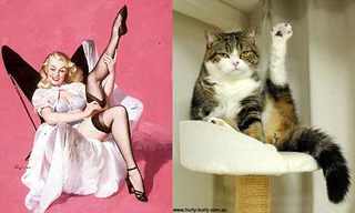 Los Adorables Gatos Modelos...