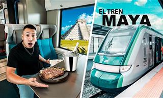 Conoce El Tren Maya, Uno De Los Más Modernos Del Mundo
