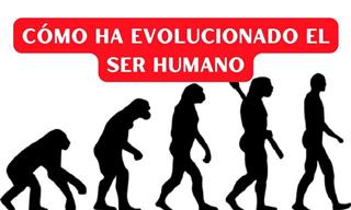 ¿Cuánto Ha Cambiado El Ser Humano Desde Su Evolución?