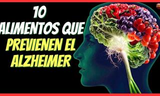 Trucos Alimenticios Para Prevenir El Alzheimer y Mejorar El Cerebro